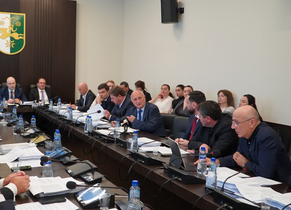 В Парламенте Абхазии представили законопроект о переписи населения